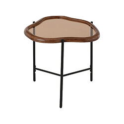 Avis Mes Table basse organique 64x45x48 cm en verre fumé et bois