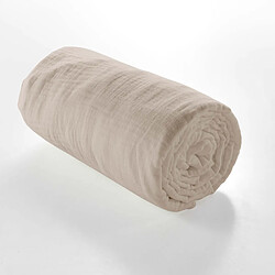 Drap housse