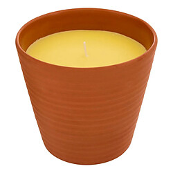 Atmosphera Bougie Parfumée en Terre Cuite Terry 200g Citronnelle