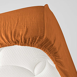 Drap housse