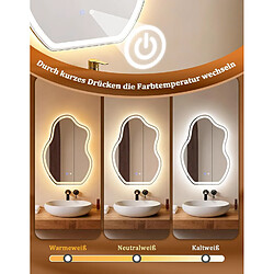 NETTLIFE Miroir Salle de Bain LED Asymétrique 50x70cm Tactile Antibuée IP44