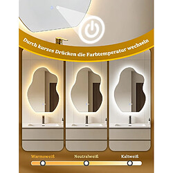 NETTLIFE Miroir Salle de Bain LED Asymétrique 50x70cm Tactile Dimmable Design