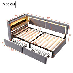 DZMDIP Lit simple 90x200 - Lit coffre à tiroirs, LED, USB, tête de lit rangement, velours gris pas cher