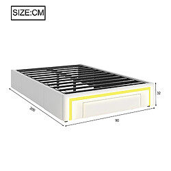 DZMDIP Lit simple 90x200 -Cadre sans tête de lit, rangements, LED multicolore, sommier métallique pas cher