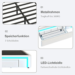 Acheter DZMDIP Lit simple 90x200 -Cadre sans tête de lit, rangements, LED multicolore, sommier métallique