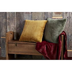 Coussin d'intérieur