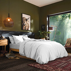 Acheter Drap plat "Premium" pour lit 1 place & 2 places Coton Pur