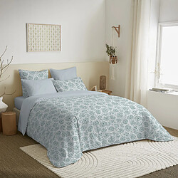 Coton Pur Pack complet housse de couette réversible pour lit 160 x 200 cm Agathe céladon