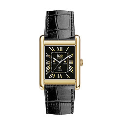 Montre connectée