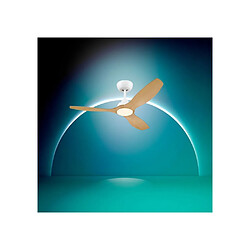 Ventilateur