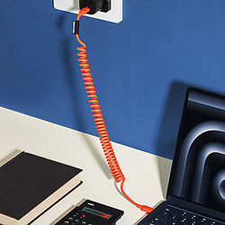 Acheter Native Union Câble USB-C vers USB-C 60W Spiralé 1.2m Série POP Charge Rapide Rouge