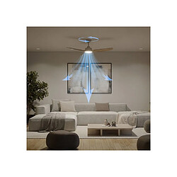Avis Philips Olas - Blanc/Bois - 132 cm
