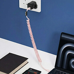 Acheter Native Union Câble USB-C vers USB-C 60W Spiralé 1.2m Série POP Charge Rapide Rose