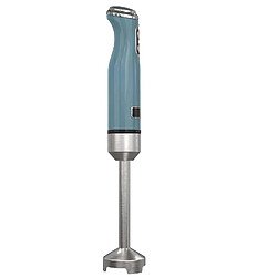 Acheter Avizar Mixeur Plongeant 600W 2 Vitesses avec Moteur à Bobinage Cuivre et Pied en Inox Bleu