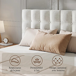 Avis Lit 160x200 havenlyhome – velours beige capitonné, tête + sommier lattes