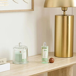 Atmosphera Spray d'Ambiance Numia 100ml Basilic Sauvage