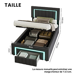 Acheter HAUSS SPOLE Lit boxspring 90x190 velours gris LED tiroirs