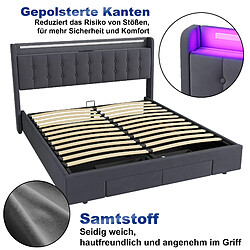 Acheter OKWISH Lit 180x200 cm Gris - Lit Coffre USB LED 215.5 x 181 x 106 cm, Velours Métal Bois