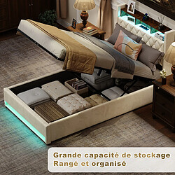 Acheter WISHDOR Lit Double 140x190 Cm - Coffre de rangement