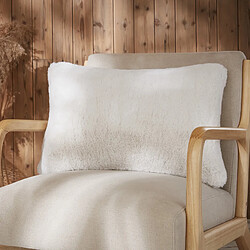 Coussin d'intérieur