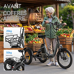 Tricycle électrique pliable CYSUM AG1 750W 48V 20Ah 80km autonomie NFC stabilité 3 roues pas cher
