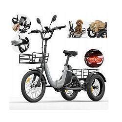 Tricycle électrique pliable CYSUM AG1 750W 48V 20Ah 80km autonomie NFC stabilité 3 roues