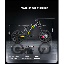 Vélo Électrique Off-Road RICH BIT V9 2500W 48V 20Ah 63km/h autonomie 60km tout terrain pas cher