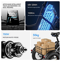Acheter Tricycle électrique pliable CYSUM AG1 750W 48V 20Ah 80km autonomie NFC stabilité 3 roues