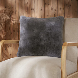 Coussin d'intérieur