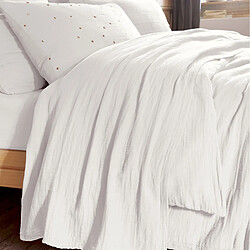 Drap plat
