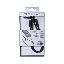 Acheter Force Power Câble USB-C vers USB-C 3A PD 60W avec Dragonne Résistant Noir