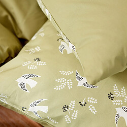 Avis A demain Taie d'oreiller en Percale de coton - 50 x 75 cm - Vert tendre
