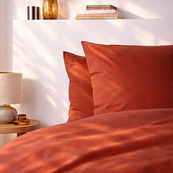 A demain Drap housse en Percale de coton bio - 180 x200 cm - Rouille pas cher