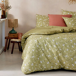 A demain Taie d'oreiller en Percale de coton - 50 x 75 cm - Vert tendre pas cher