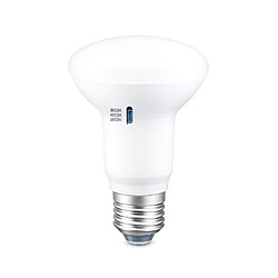 Ampoule LED Silver Electronics