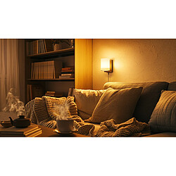 Silver Electronics Pack x2 Ampoule LED Sphérique G45 filamento Crystal Frost A Class E14 485lm 2,3W 3000K pas cher