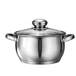 Swisgold Marmite Inox 16cm avec Couvercle et Fond Capsule 5 Couches Argent
