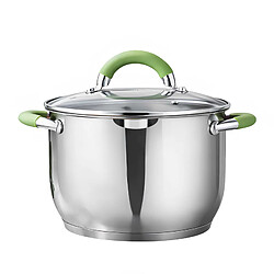 Swisgold Marmite Inox 20cm avec Couvercle en Verre et Poignées Isolantes Argent