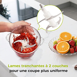 YASHE Hachoir Électrique avec 2 Bols- Mini Robot de Cuisine avec 4 Lames pas cher