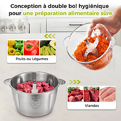 Acheter YASHE Hachoir Électrique avec 2 Bols- Mini Robot de Cuisine avec 4 Lames