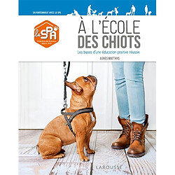 A l'école des chiots : les bases d'une éducation positive réussie