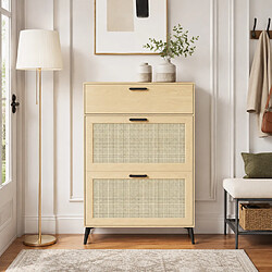 Avis MEXUS Meuble à Chaussures avec 3 Portes, Armoire à Chaussures, Étagères Réglables, 80x24x114cm