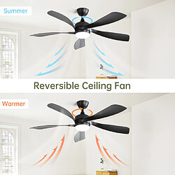 Ventilateur