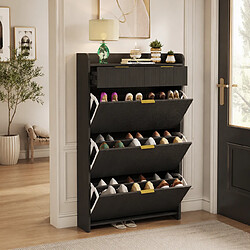 Acheter MEXUS Meuble à Chaussures avec 3 Abattants et 2 Tiroirs, Armoire à Chaussures, 77x24x133cm, Noir