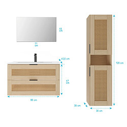 Aurlane Ensemble meuble salle de bain 60 cm avec colonne pas cher