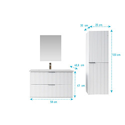 Aurlane Ensemble meuble salle de bain 60 cm avec colonne pas cher