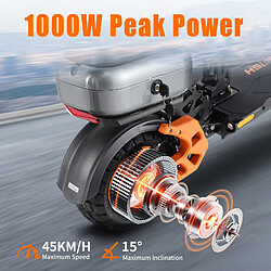 TWOFISH Trottinette électrique V5MAX 1000W 45km/h, 48V18Ah 45km, freins à disque, pliable siège pas cher