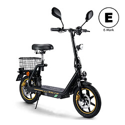 Acheter Trottinette électrique Pliable TWOFISH M5 ELITE-E,moteur 500W,48V 13AH,Noir