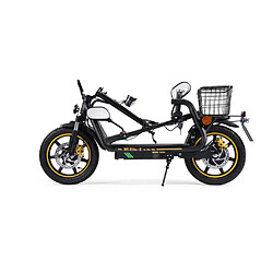Trottinette électrique Pliable TWOFISH M5 ELITE-E,moteur 500W,48V 13AH,Noir pas cher