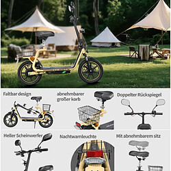 Trottinette électrique Pliable TWOFISH M5 ELITE-E,moteur 500W,48V 13AH,Jaune pas cher